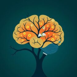 A clearer mind in later years: understanding the psychology of aging and cognition