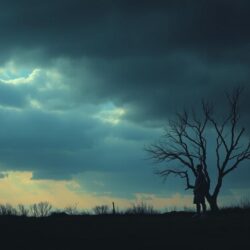 When company feels distant: understanding loneliness from the inside out